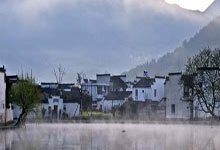 上海后花园小院：宜居环境，性价比超高